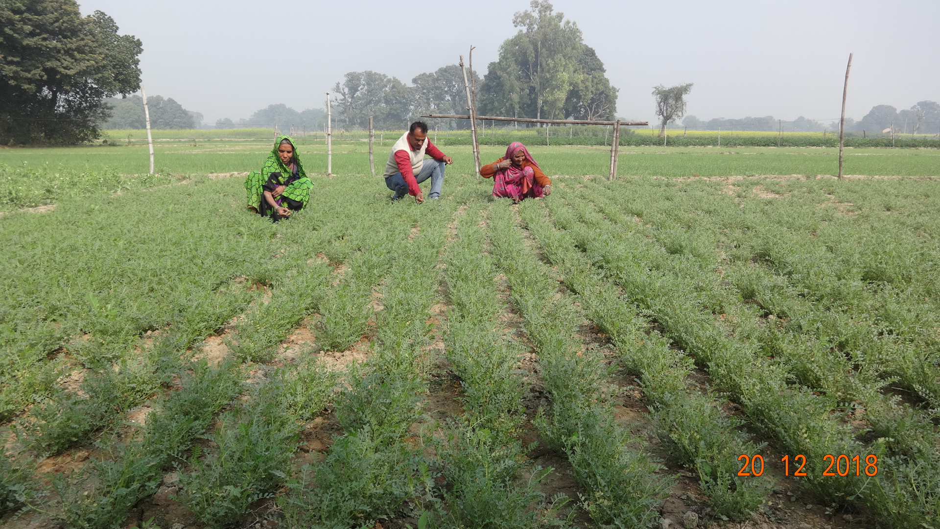 Agro-Based Livelihood